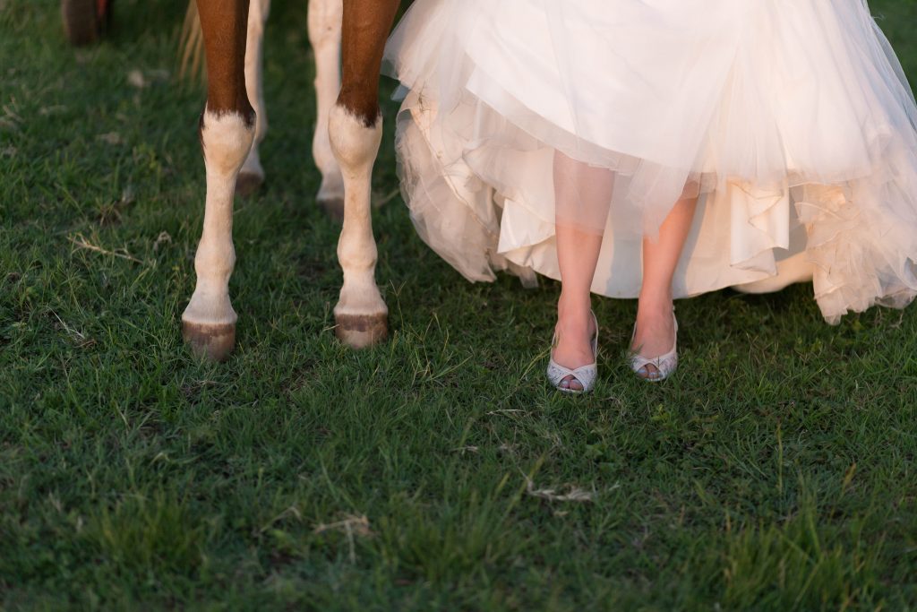 Alzane & Desmond-157