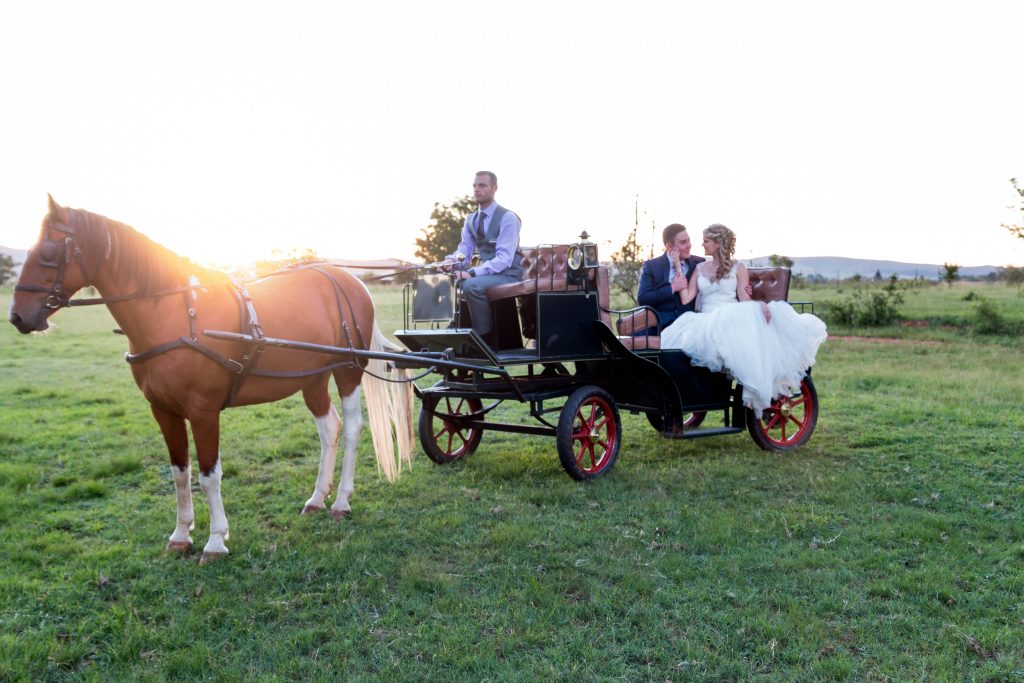 Alzane & Desmond-159