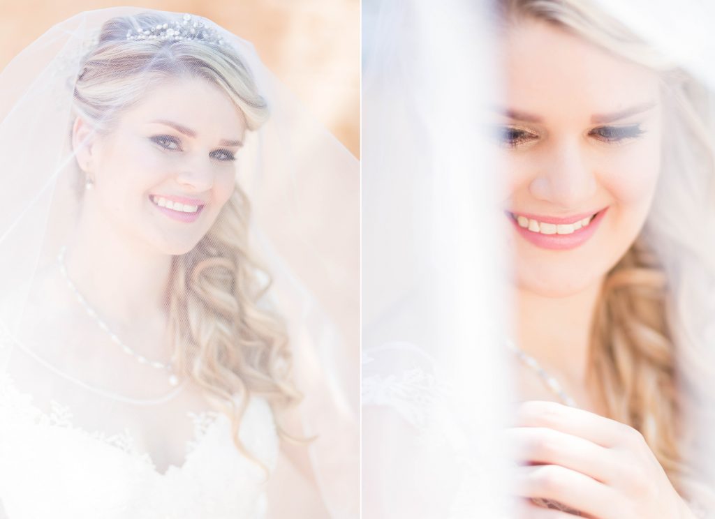 Alzane & Desmond_Blog 27