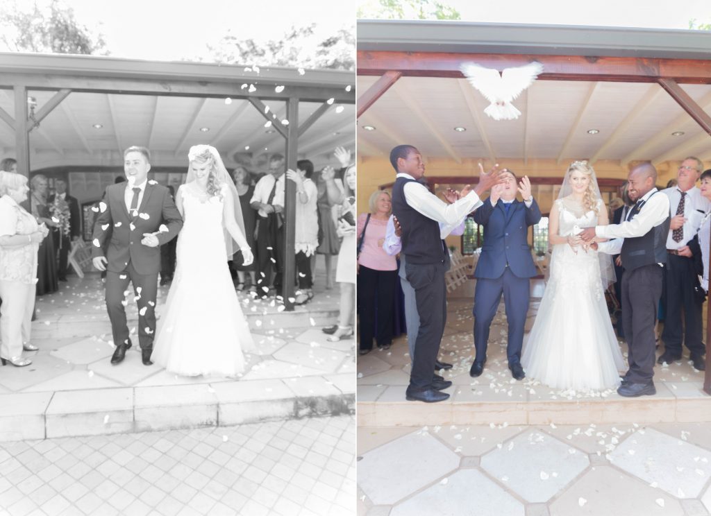 Alzane & Desmond_Blog 415