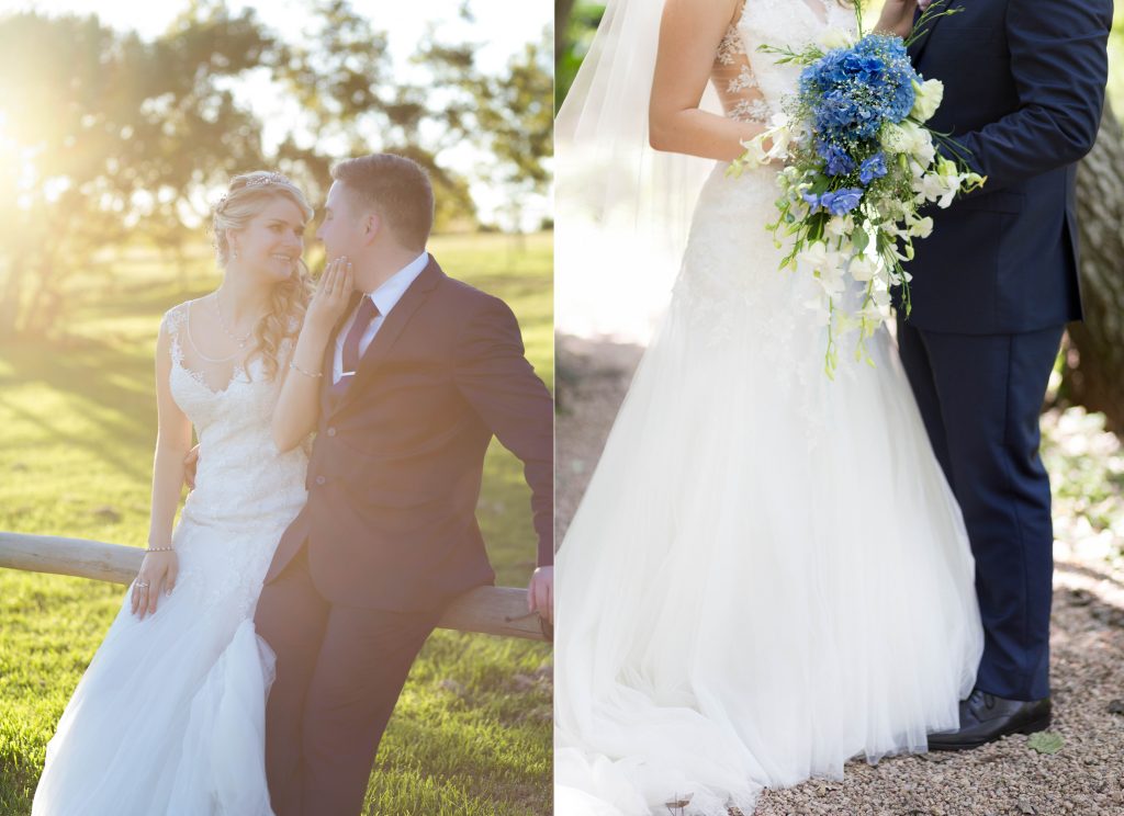 Alzane & Desmond_Blog 431