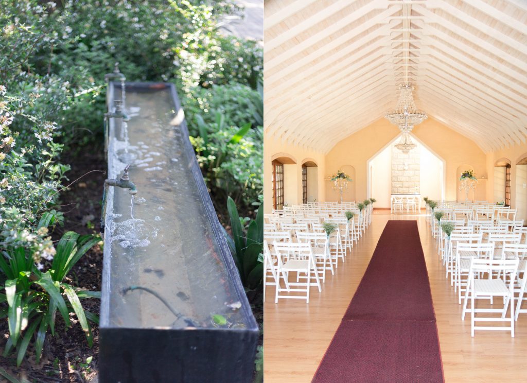 Alzane & Desmond_Blog 6