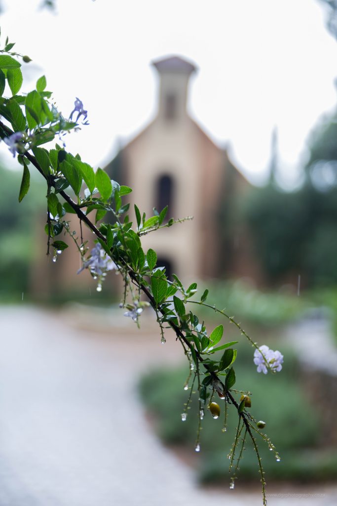 Mercia & Sean_Blog Sneaks-6